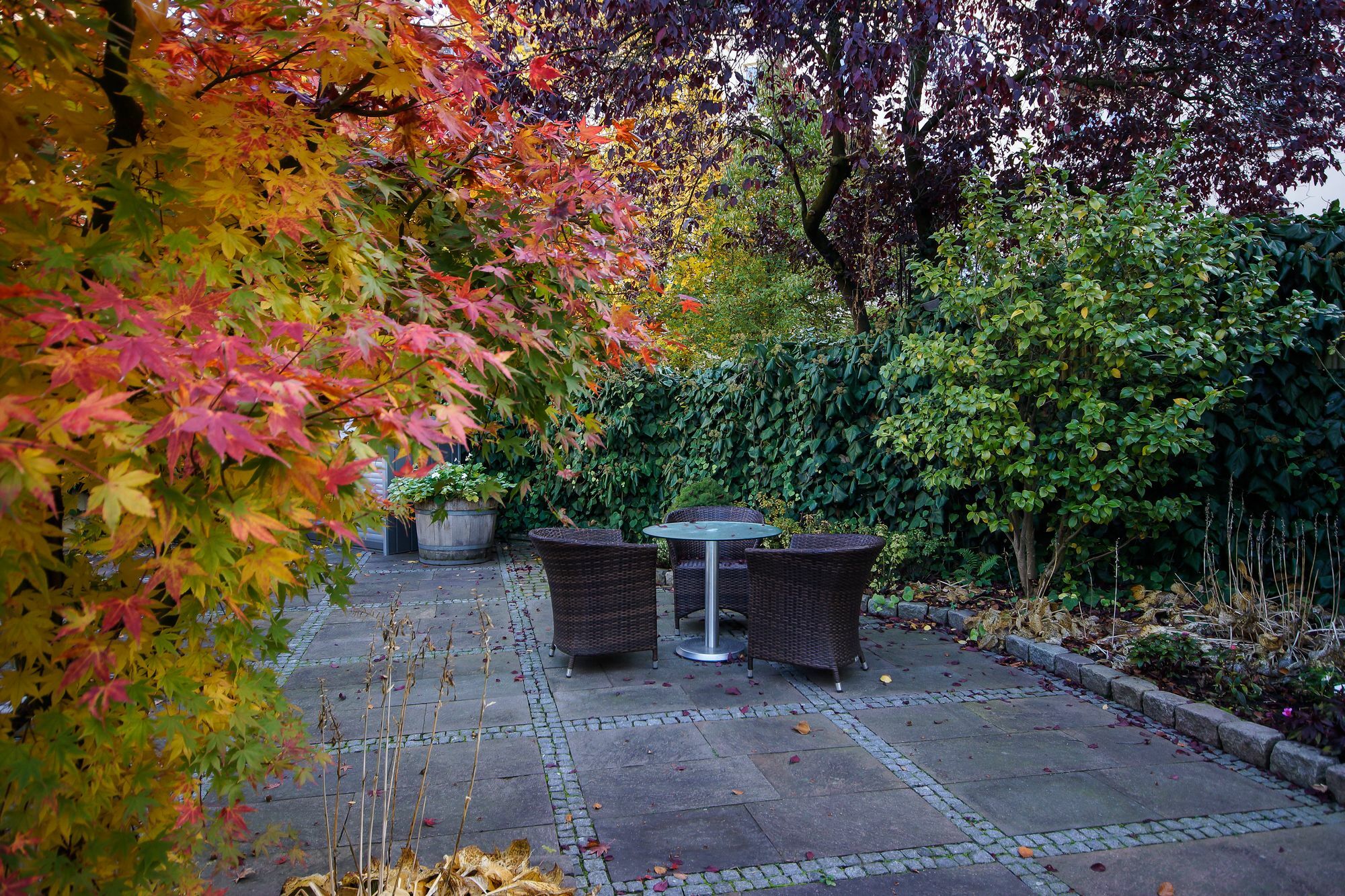Apartmenthotel Kaiser Karl Bonn Extérieur photo